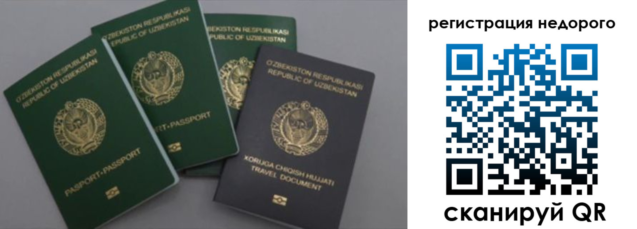 пропишу в квартире в Ногинске